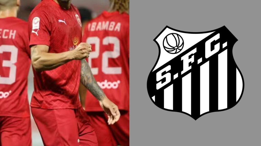 Capas para matérias (72)