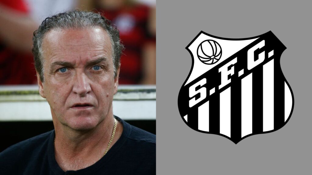 Capas para matérias (72)