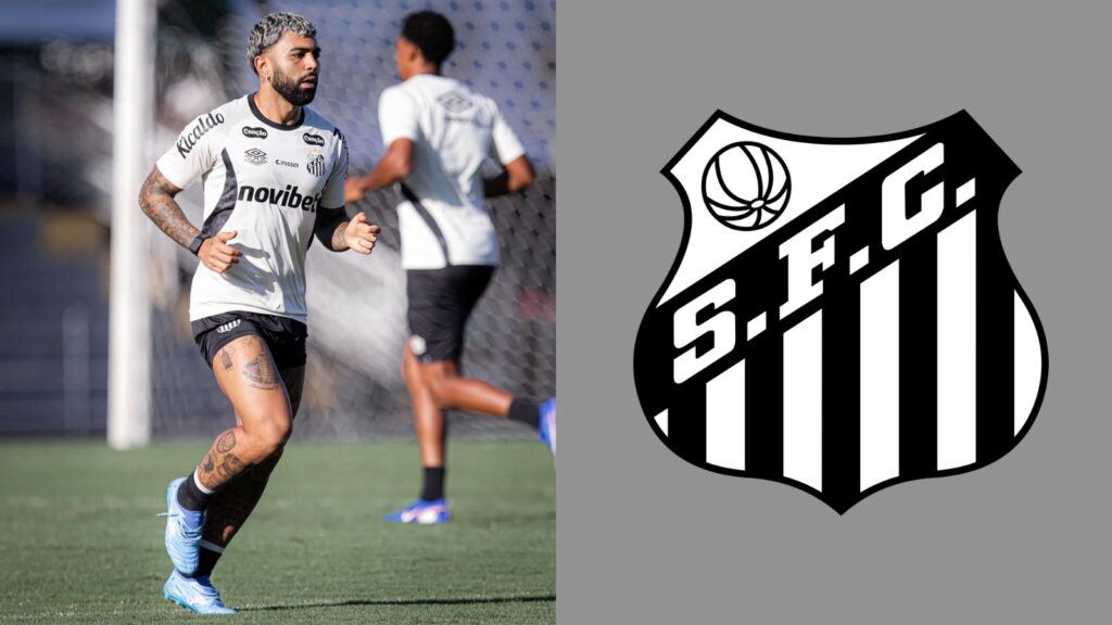 Capas para matérias (74)