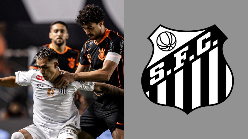 Capas para matérias (76)