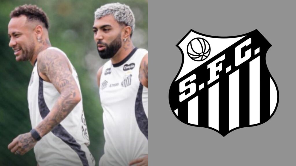 Capas para matérias (87)