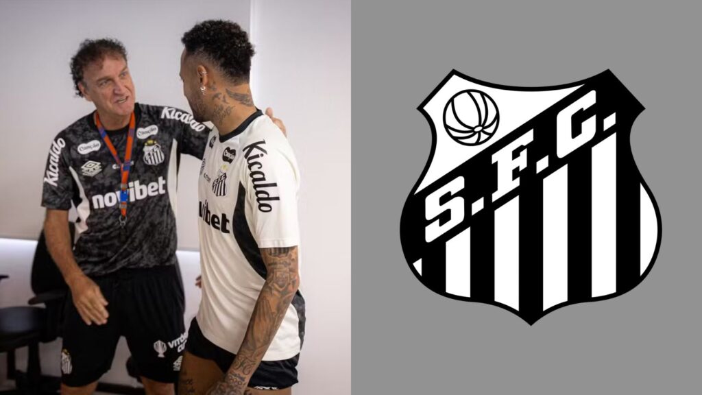 Capas para matérias (91)