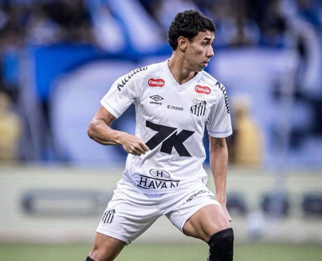 Foto: Raul Baretta / Santos FC