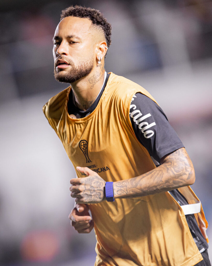 Foto: Raul Baretta/ Santos FC