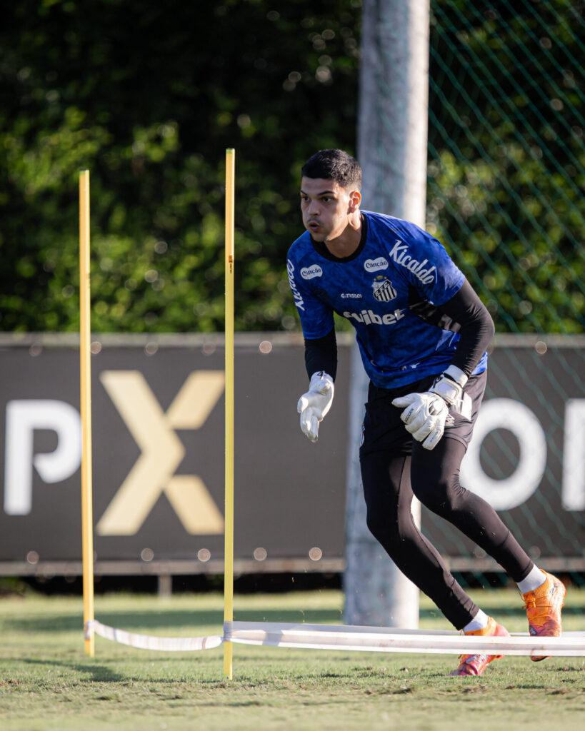 Notícias do Santos - Foto: Raul Baretta