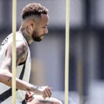 Foto: Raul Baretta/Santos FC
