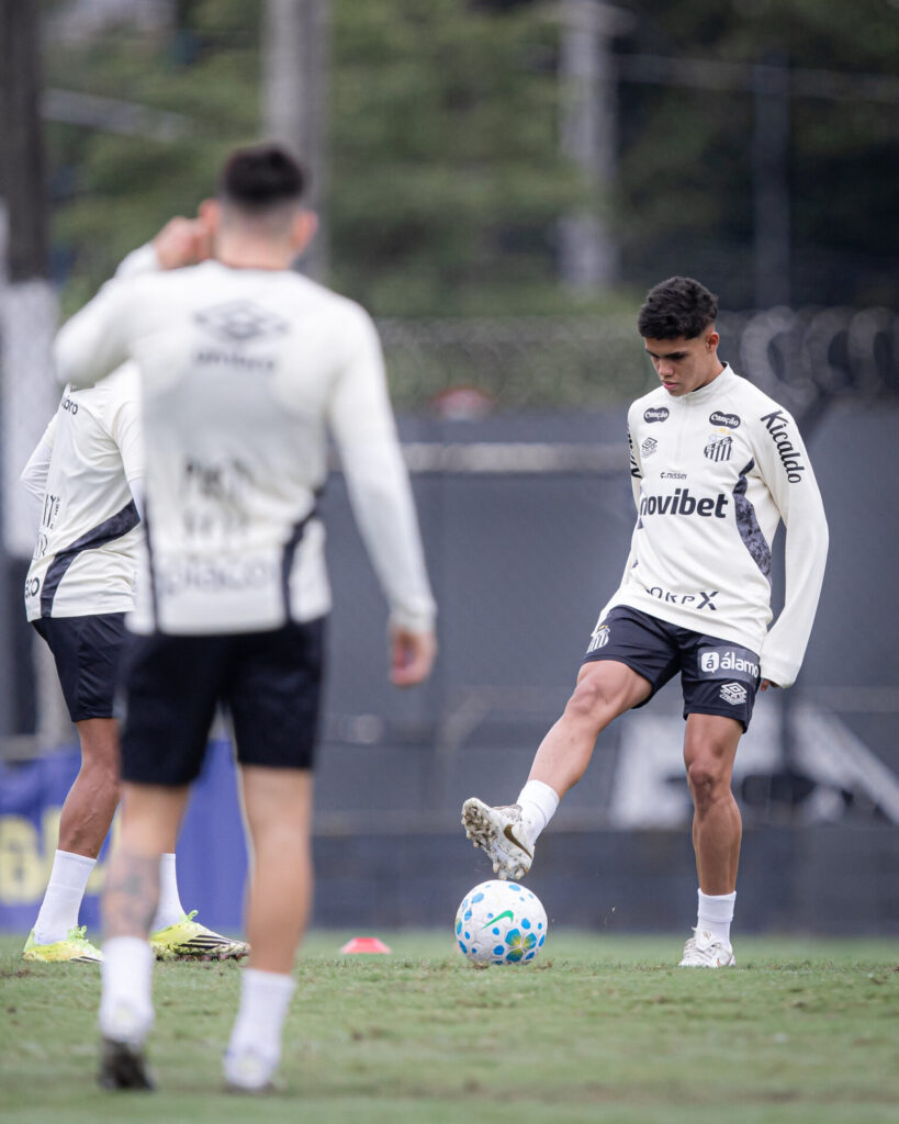 Foto: Raul Baretta/ Santos FC