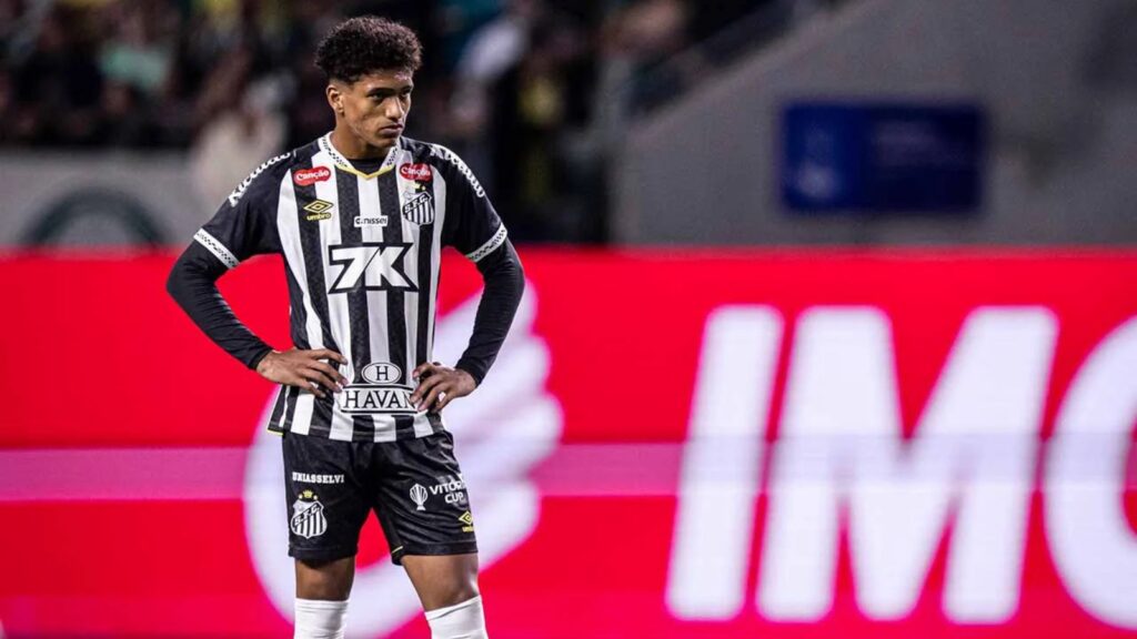 Foto: Raul Baretta/ Santos FC