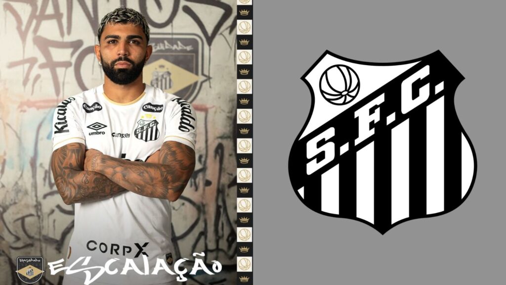 Capas para matérias (48)