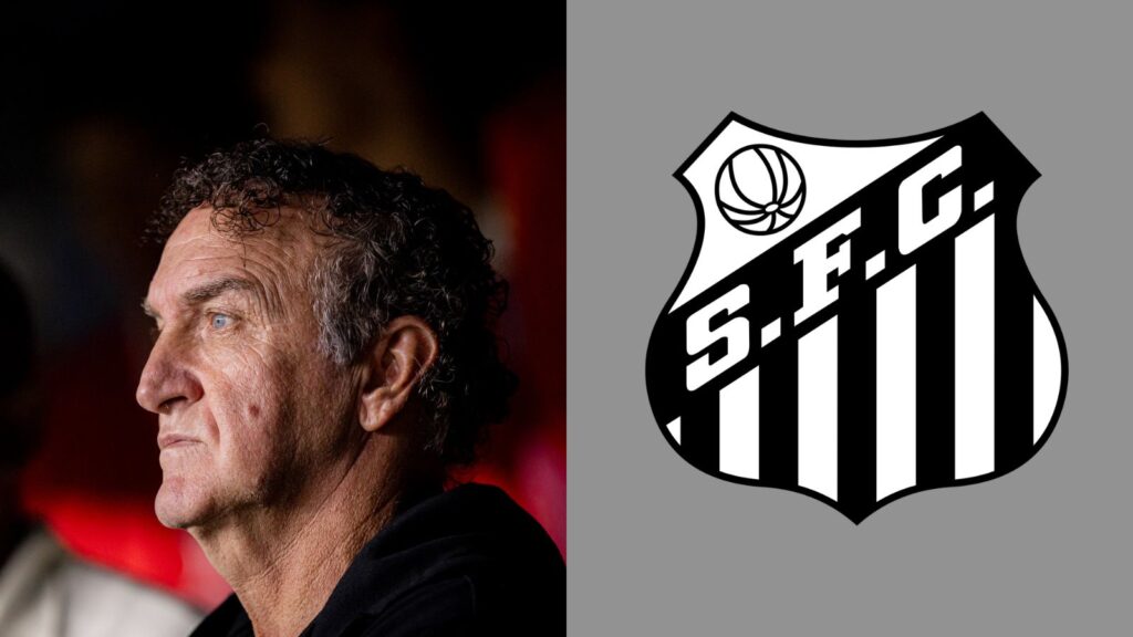 Capas para matérias (57)