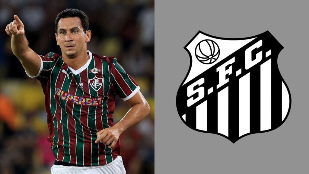 Capas para matérias (63)