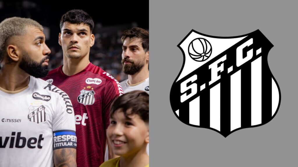 Capas para matérias (82)
