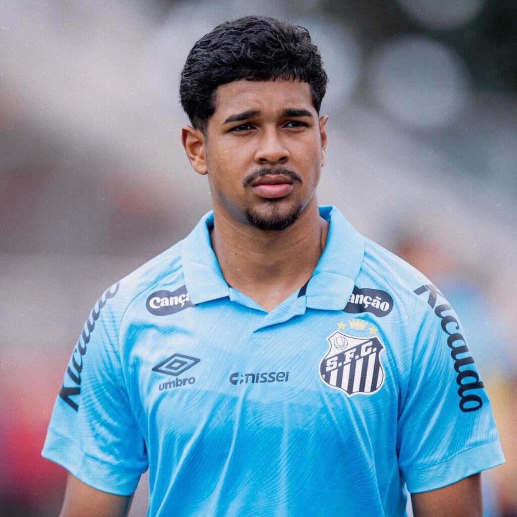 Foto: Raul Baretta / Santos FC